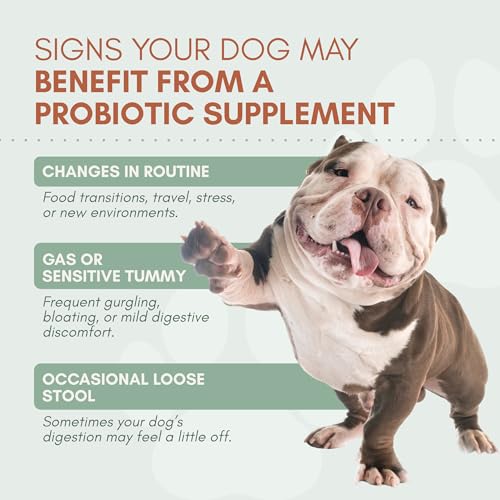 Snoot to Toot Probiotics for Dogs
